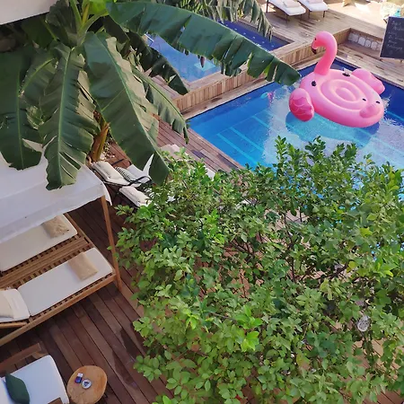 Viento (adults Only) Alacati