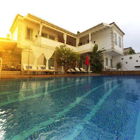Hotel Viento (adults Only) 4*
