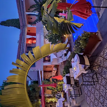 Viento (adults Only) Hotel Alaçatı